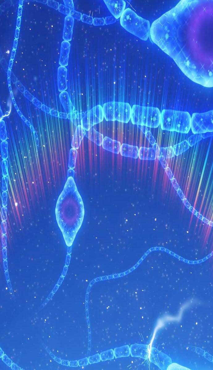 Gậy Gỗ Cấp 99+ Chap 64.4 - Next Chap 65.4