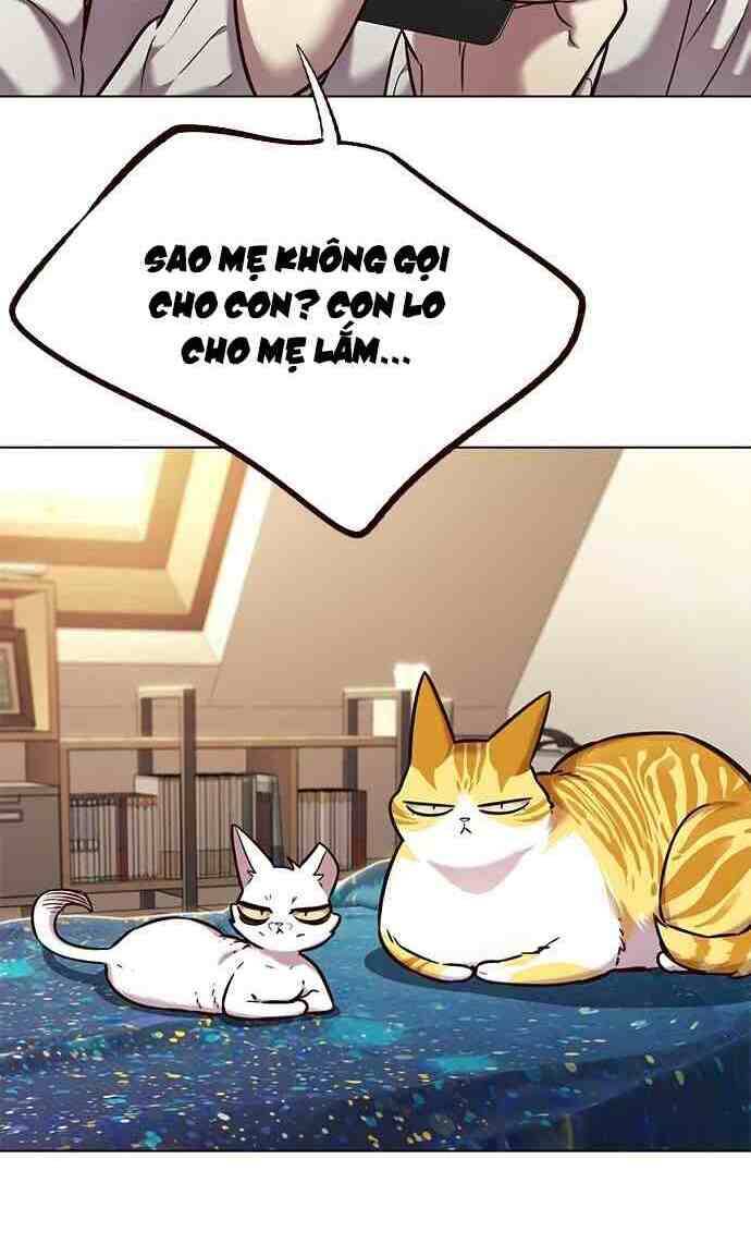 Hoá Thân Thành Mèo Chap 231 - Next Chap 232