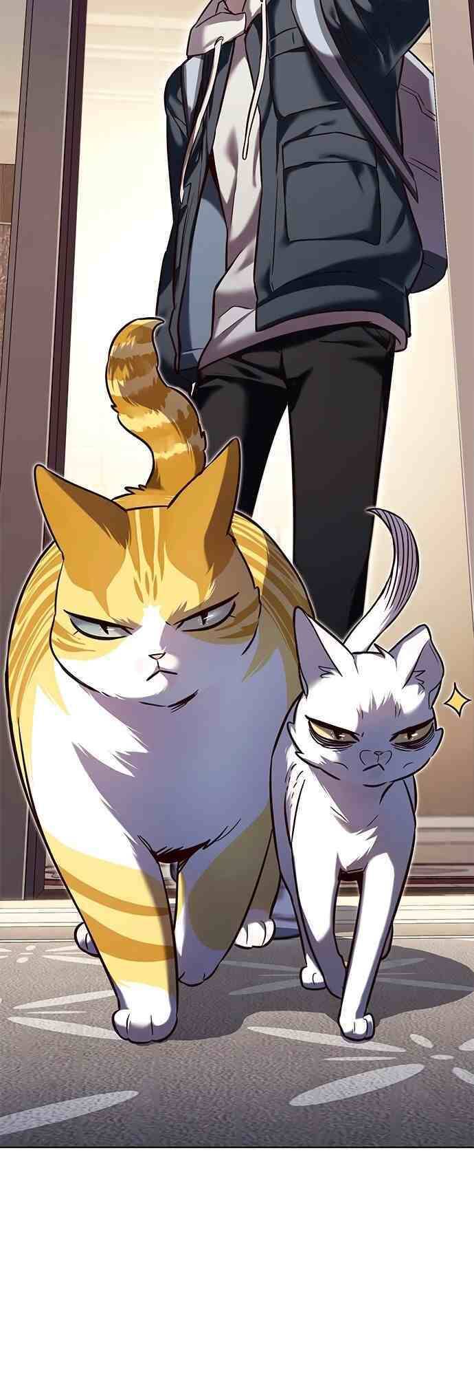 Hoá Thân Thành Mèo Chap 231 - Next Chap 232