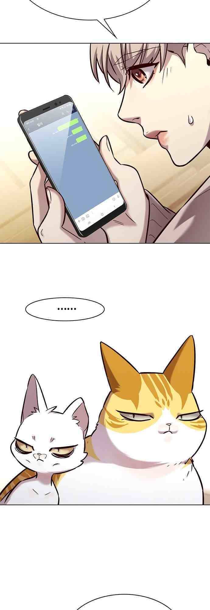 Hoá Thân Thành Mèo Chap 231 - Next Chap 232