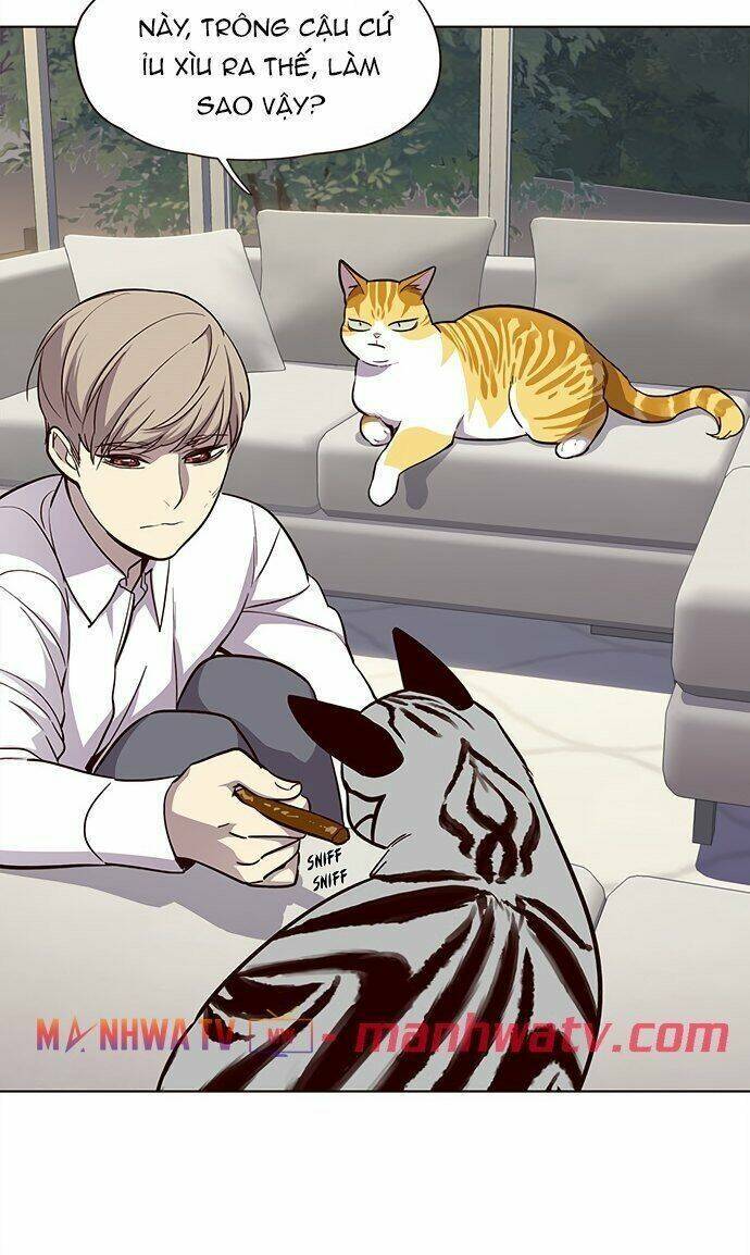 Hoá Thân Thành Mèo Chap 21 - Next Chap 22