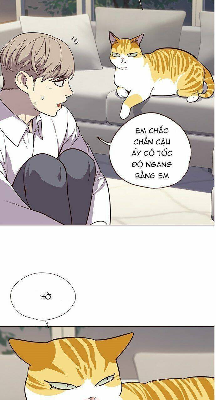 Hoá Thân Thành Mèo Chap 21 - Next Chap 22