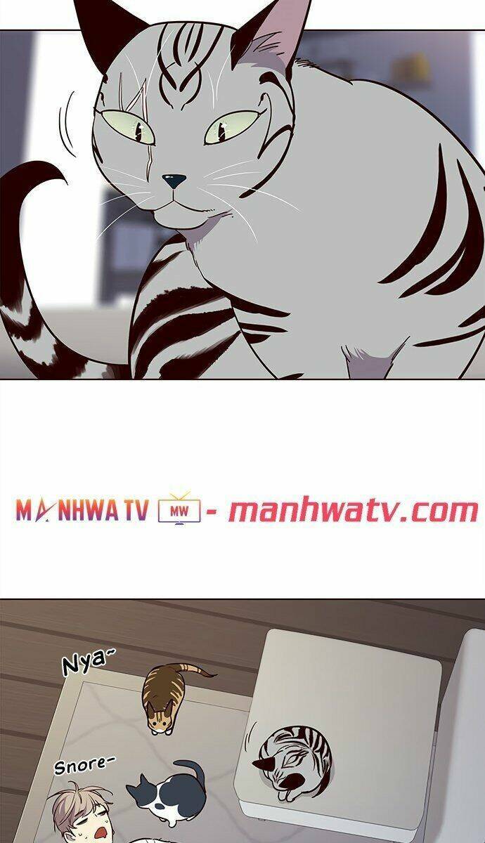 Hoá Thân Thành Mèo Chap 21 - Next Chap 22