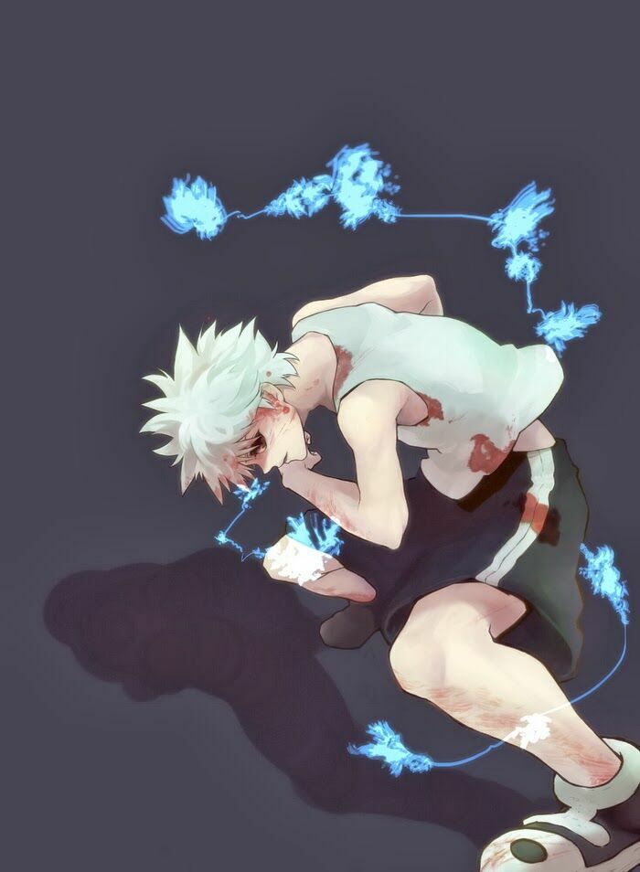 Hunter x Hunter  Chap 135 - Next Chap 136