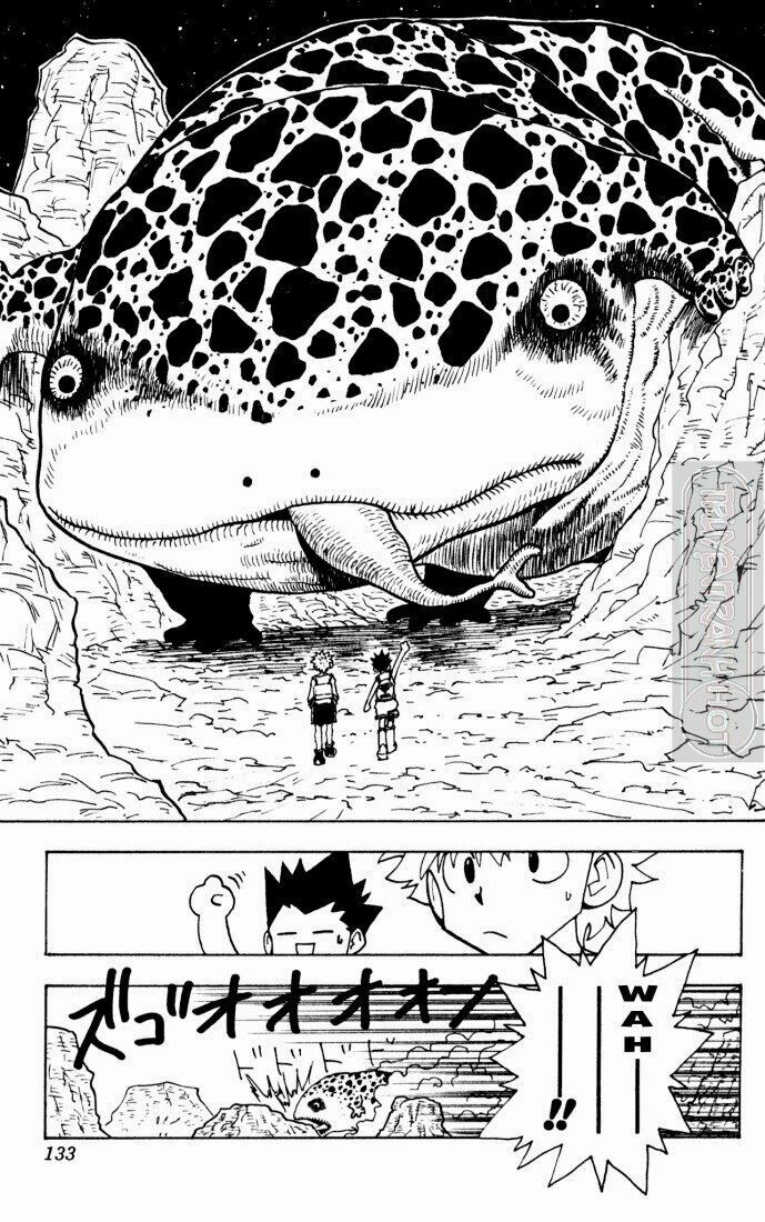 Hunter x Hunter  Chap 135 - Next Chap 136