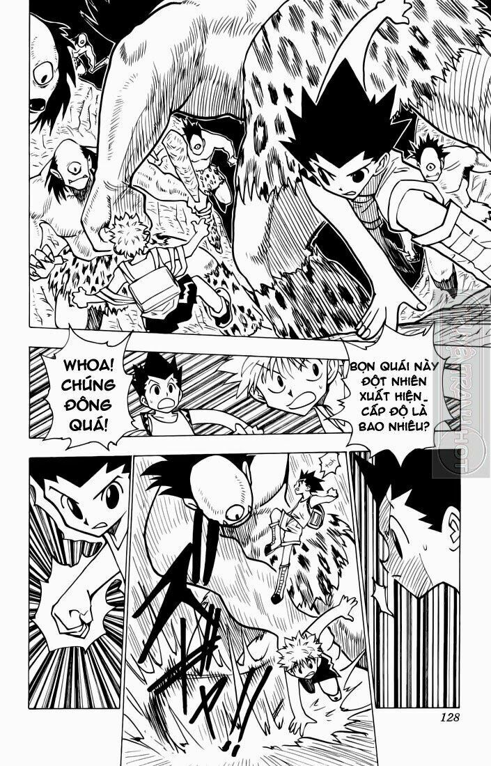 Hunter x Hunter  Chap 135 - Next Chap 136