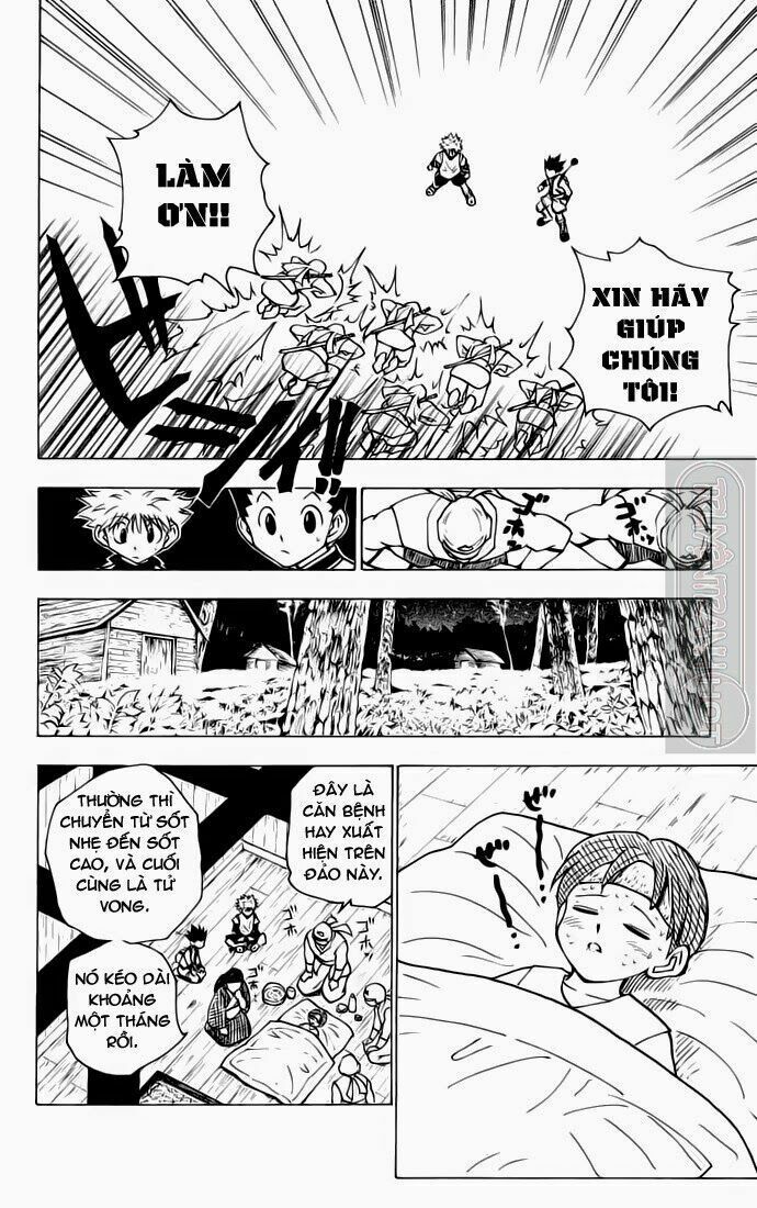 Hunter x Hunter  Chap 135 - Next Chap 136