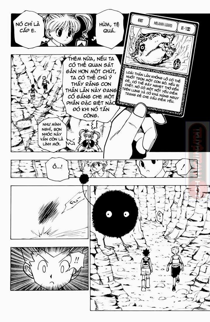 Hunter x Hunter  Chap 136 - Next Chap 137