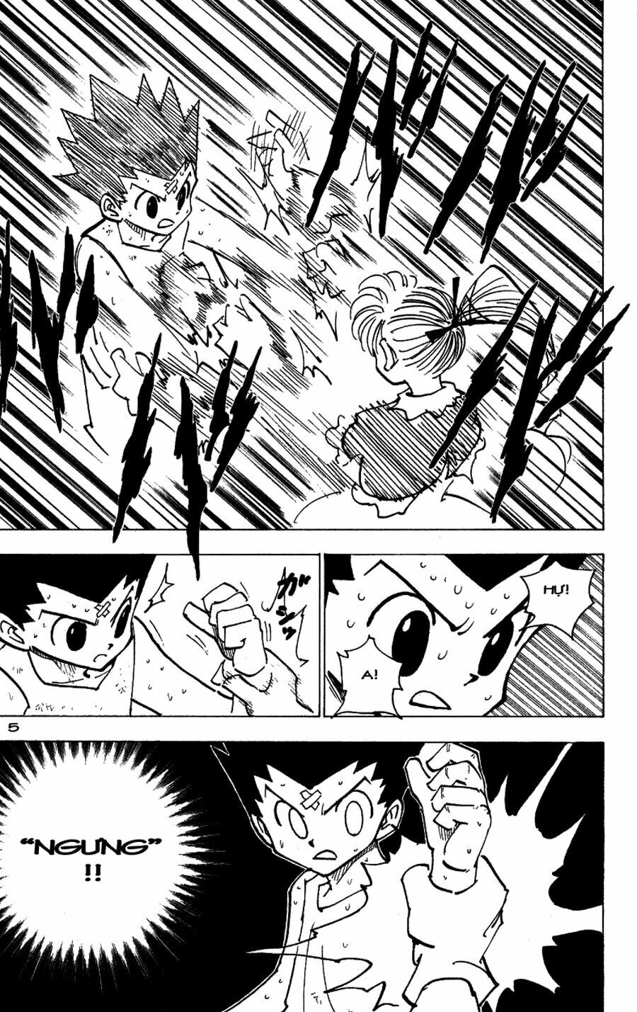 Hunter x Hunter  Chap 171 - Next Chap 172