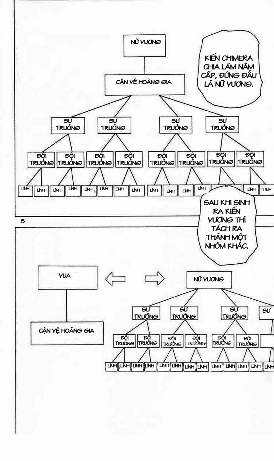 Hunter x Hunter  Chap 194 - Next Chap 195