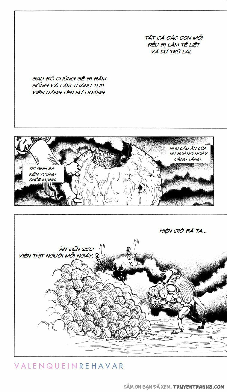 Hunter x Hunter  Chap 197 - Next Chap 198