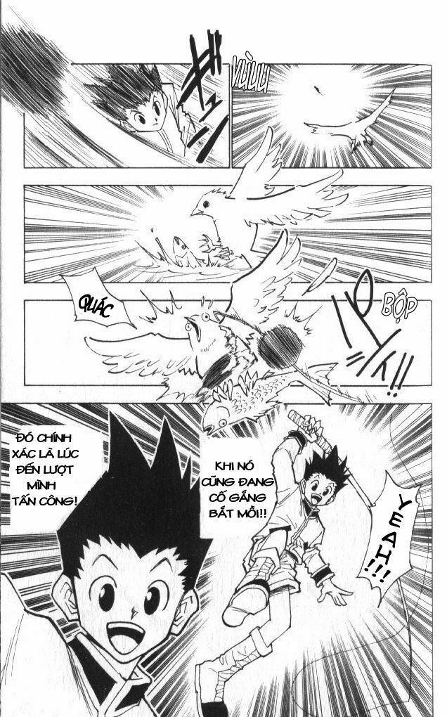 Hunter x Hunter  Chap 24 - Next Chap 25