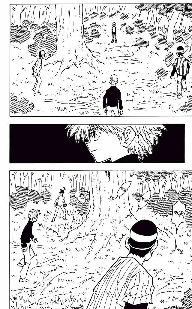 Hunter x Hunter  Chap 29 - Next Chap 30