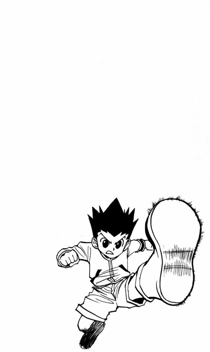 Hunter x Hunter  Chap 99 - Next Chap 100