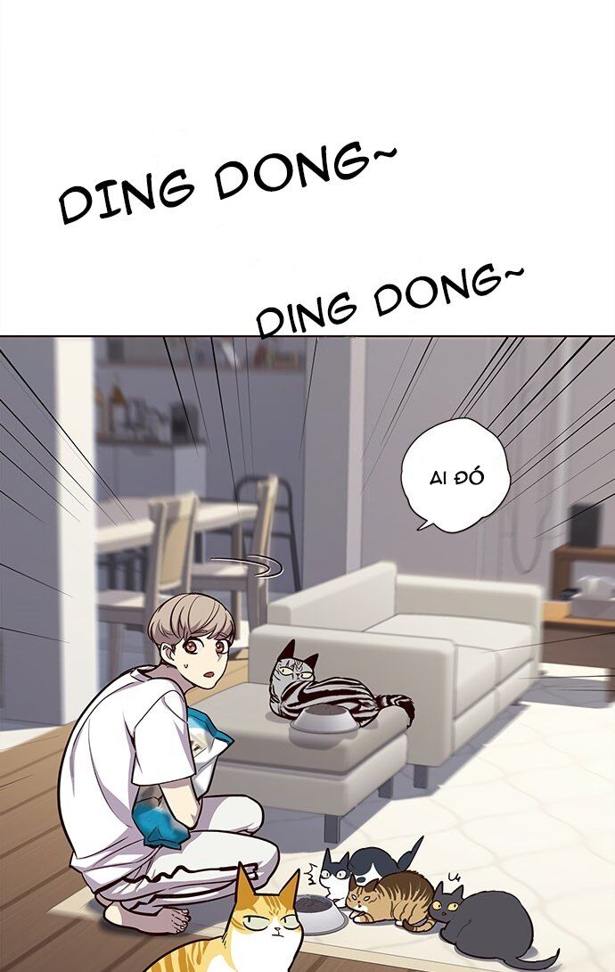 Hoá Thân Thành Mèo Chap 22 - Next Chap 23