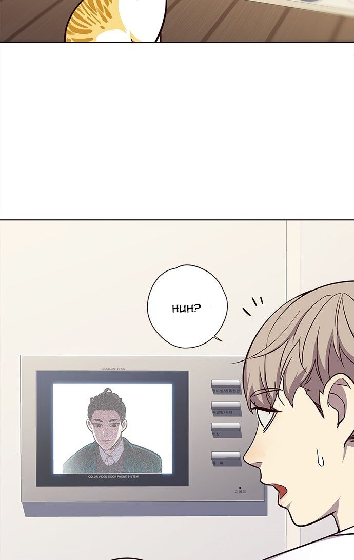 Hoá Thân Thành Mèo Chap 22 - Next Chap 23