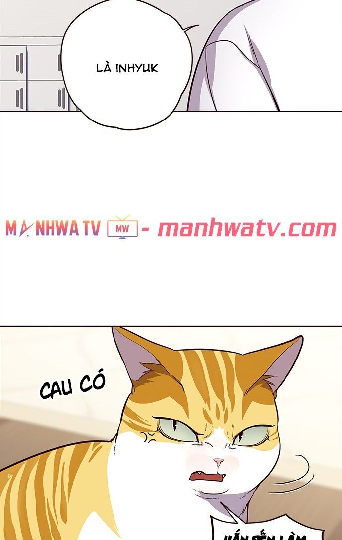Hoá Thân Thành Mèo Chap 22 - Next Chap 23