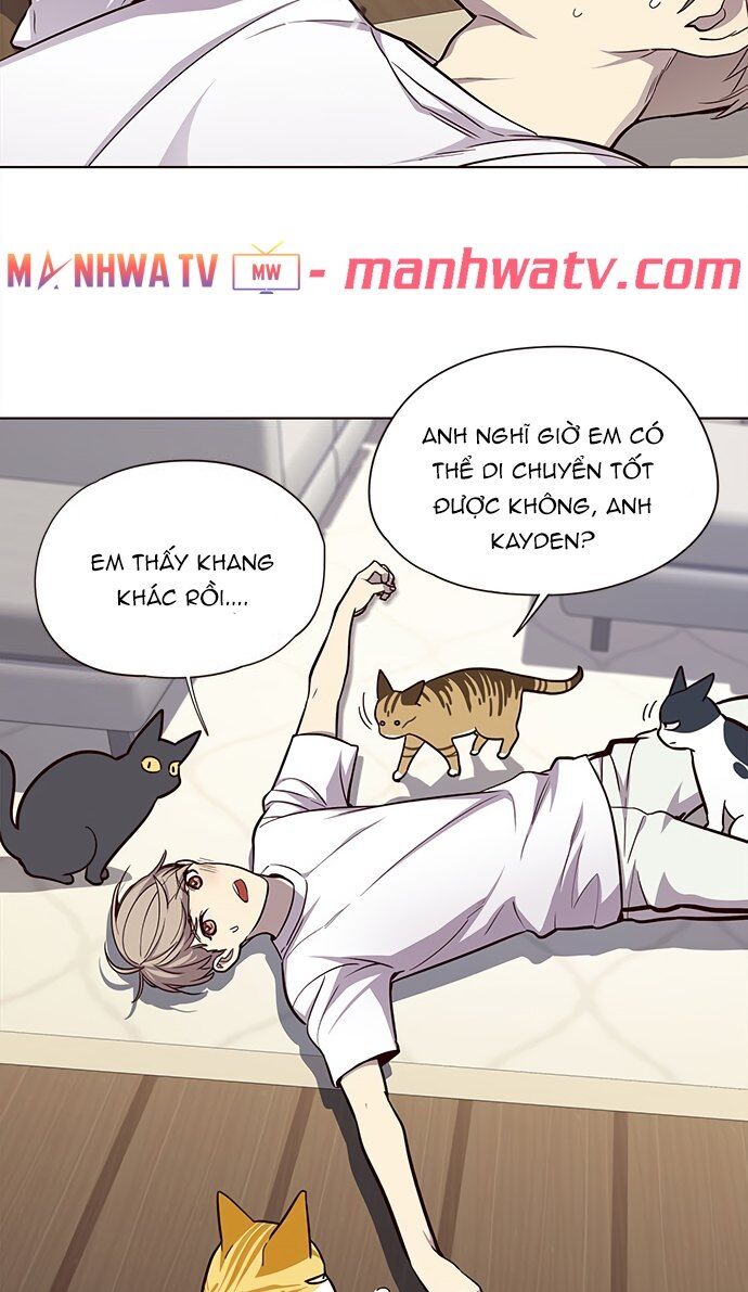 Hoá Thân Thành Mèo Chap 22 - Next Chap 23