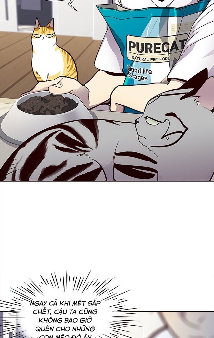 Hoá Thân Thành Mèo Chap 22 - Next Chap 23