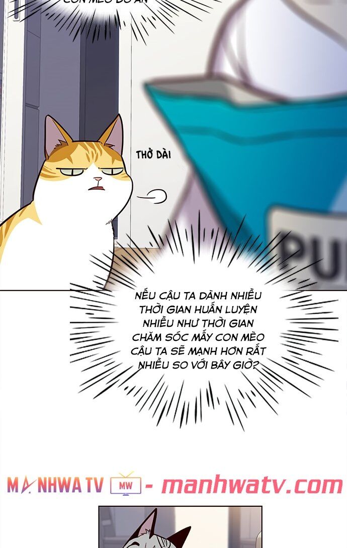Hoá Thân Thành Mèo Chap 22 - Next Chap 23