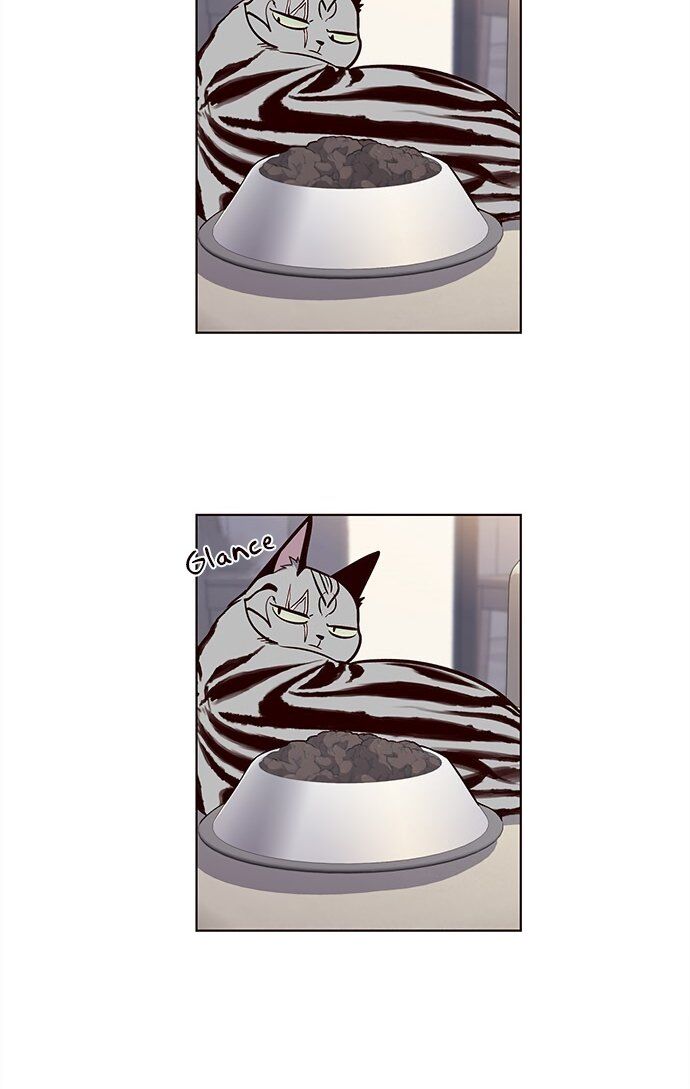 Hoá Thân Thành Mèo Chap 22 - Next Chap 23