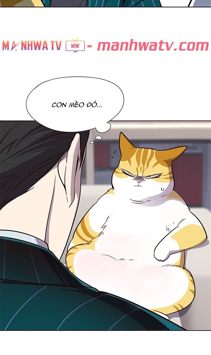 Hoá Thân Thành Mèo Chap 22 - Next Chap 23