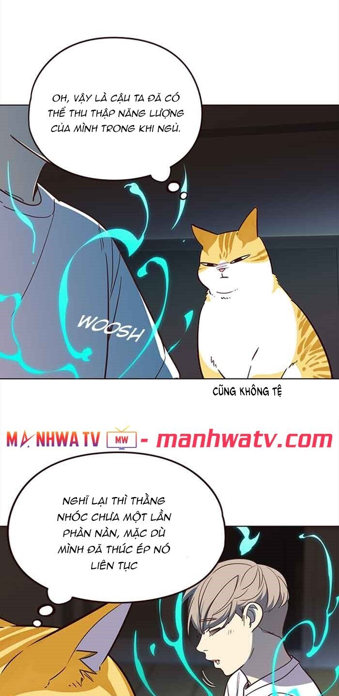 Hoá Thân Thành Mèo Chap 23 - Next Chap 24