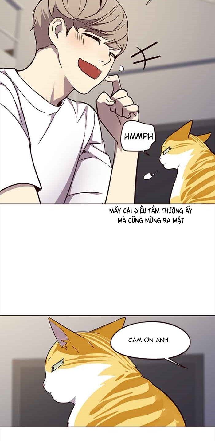 Hoá Thân Thành Mèo Chap 23 - Next Chap 24