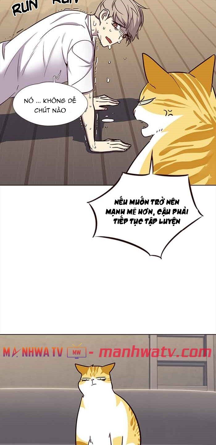 Hoá Thân Thành Mèo Chap 23 - Next Chap 24