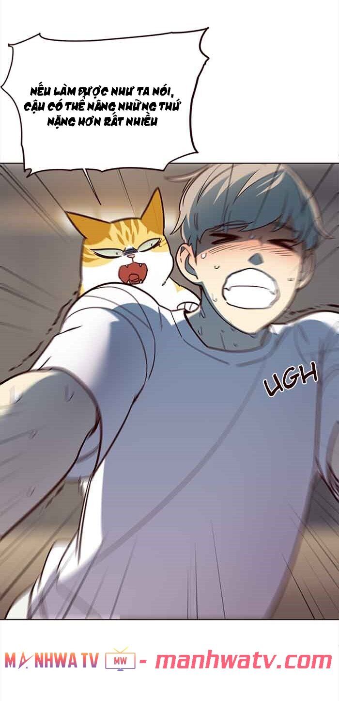 Hoá Thân Thành Mèo Chap 23 - Next Chap 24