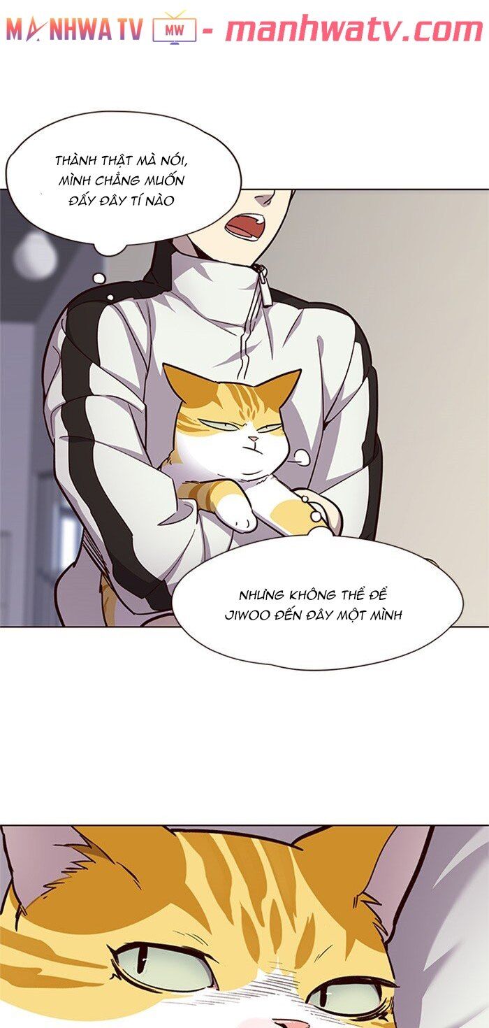 Hoá Thân Thành Mèo Chap 24 - Next Chap 25