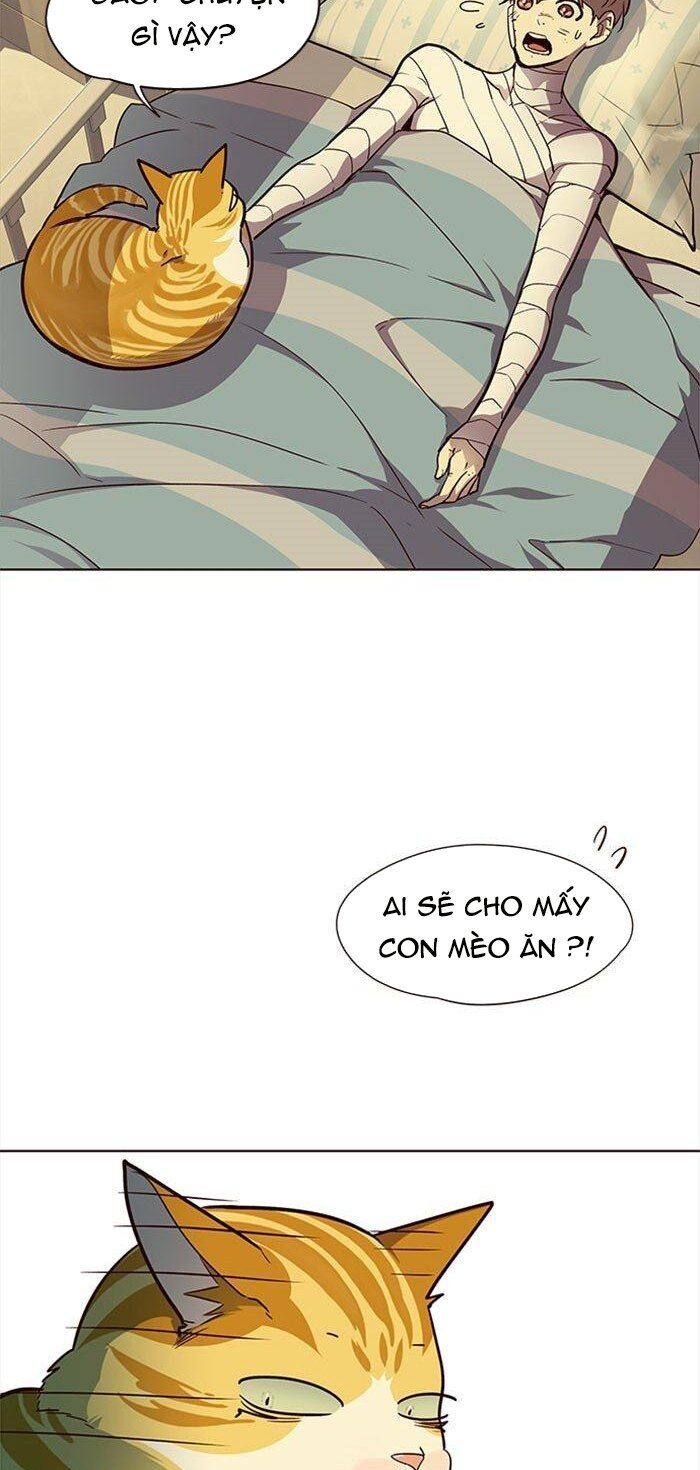 Hoá Thân Thành Mèo Chap 30 - Next Chap 31