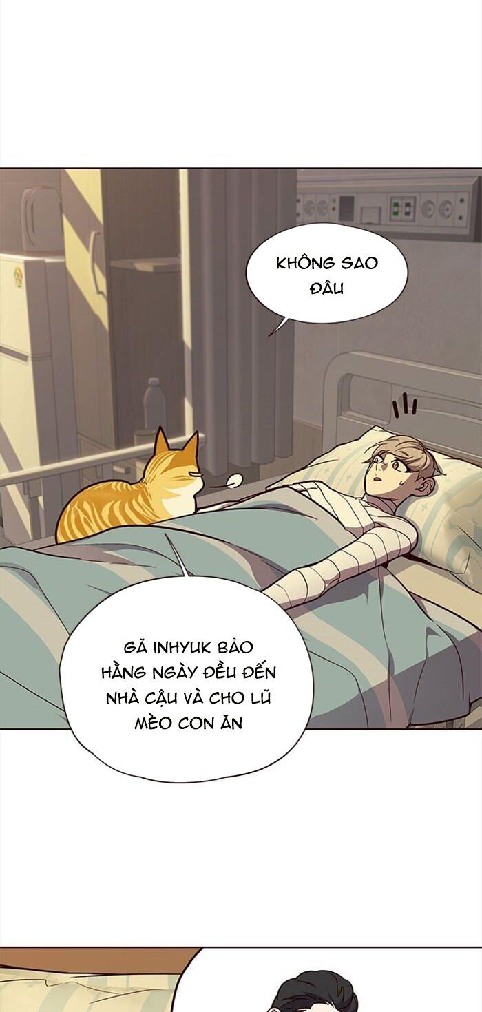 Hoá Thân Thành Mèo Chap 30 - Next Chap 31