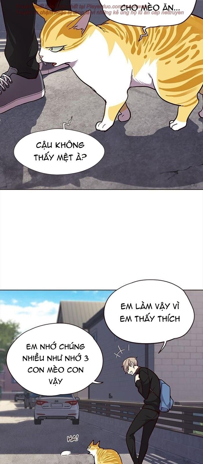 Hoá Thân Thành Mèo Chap 36 - Next Chap 37