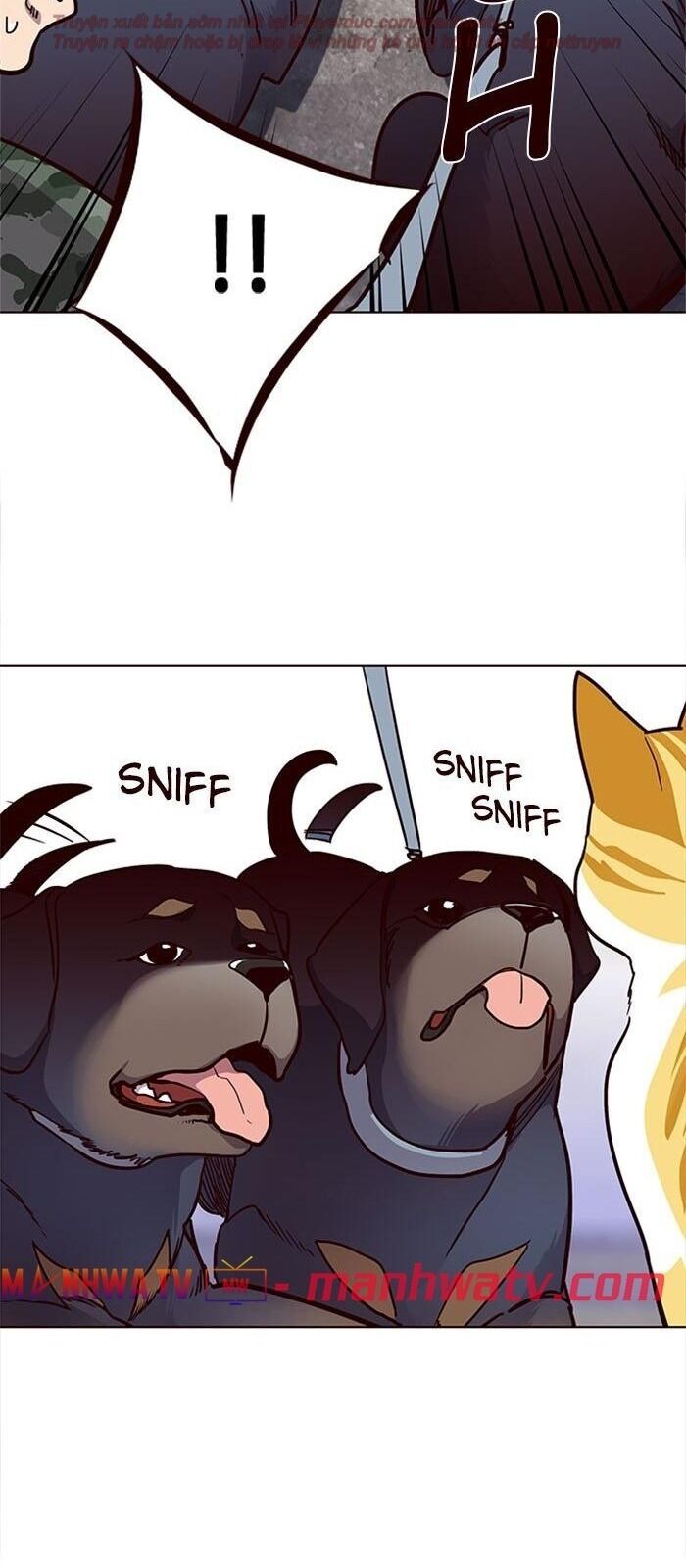Hoá Thân Thành Mèo Chap 36 - Next Chap 37