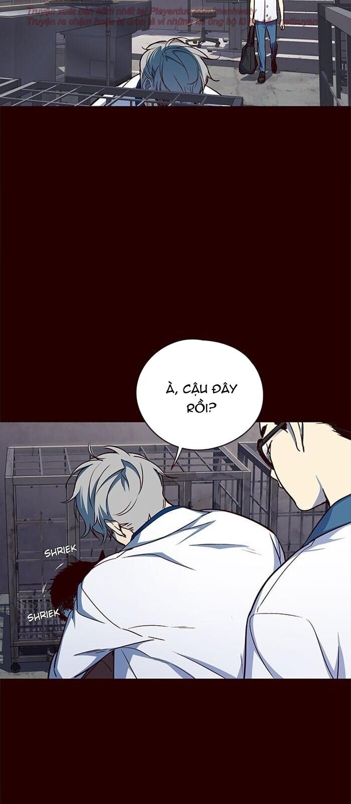 Hoá Thân Thành Mèo Chap 36 - Next Chap 37