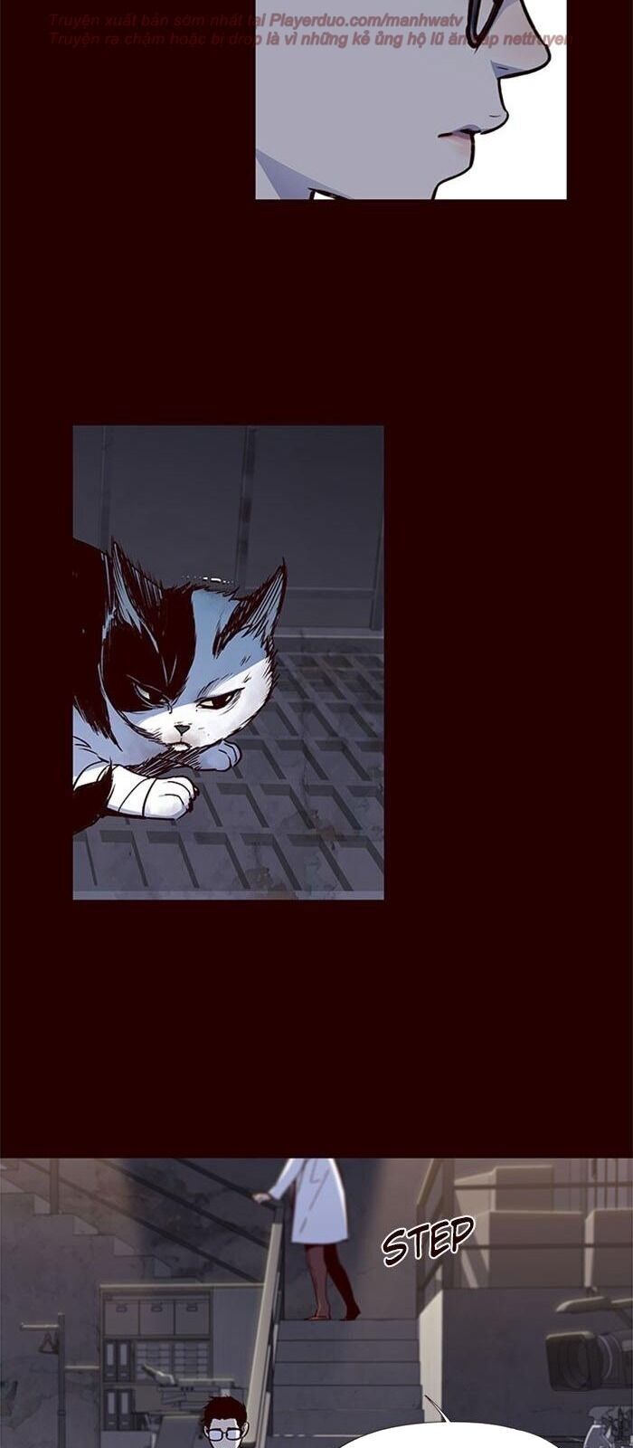 Hoá Thân Thành Mèo Chap 36 - Next Chap 37