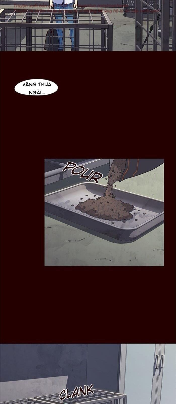 Hoá Thân Thành Mèo Chap 36 - Next Chap 37