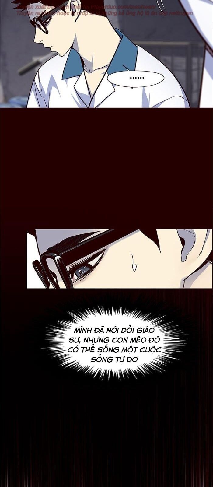 Hoá Thân Thành Mèo Chap 36 - Next Chap 37