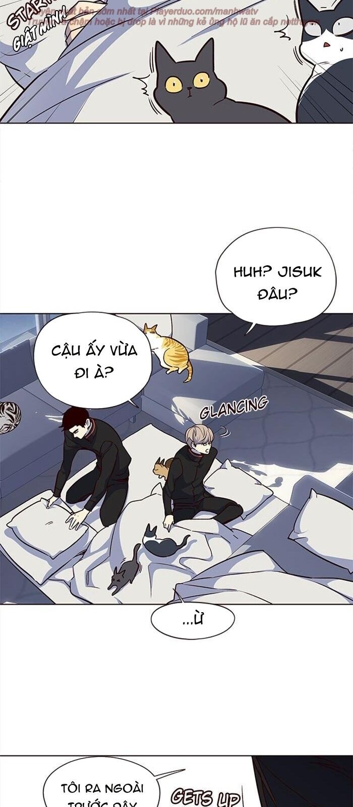 Hoá Thân Thành Mèo Chap 36 - Next Chap 37