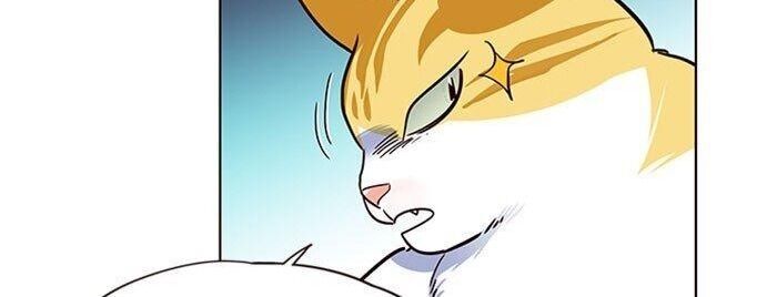 Hoá Thân Thành Mèo Chap 36 - Next Chap 37