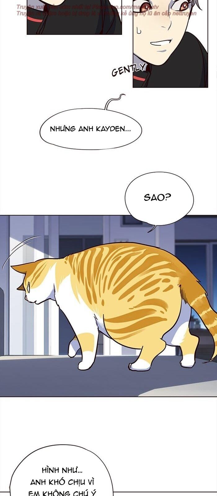 Hoá Thân Thành Mèo Chap 36 - Next Chap 37