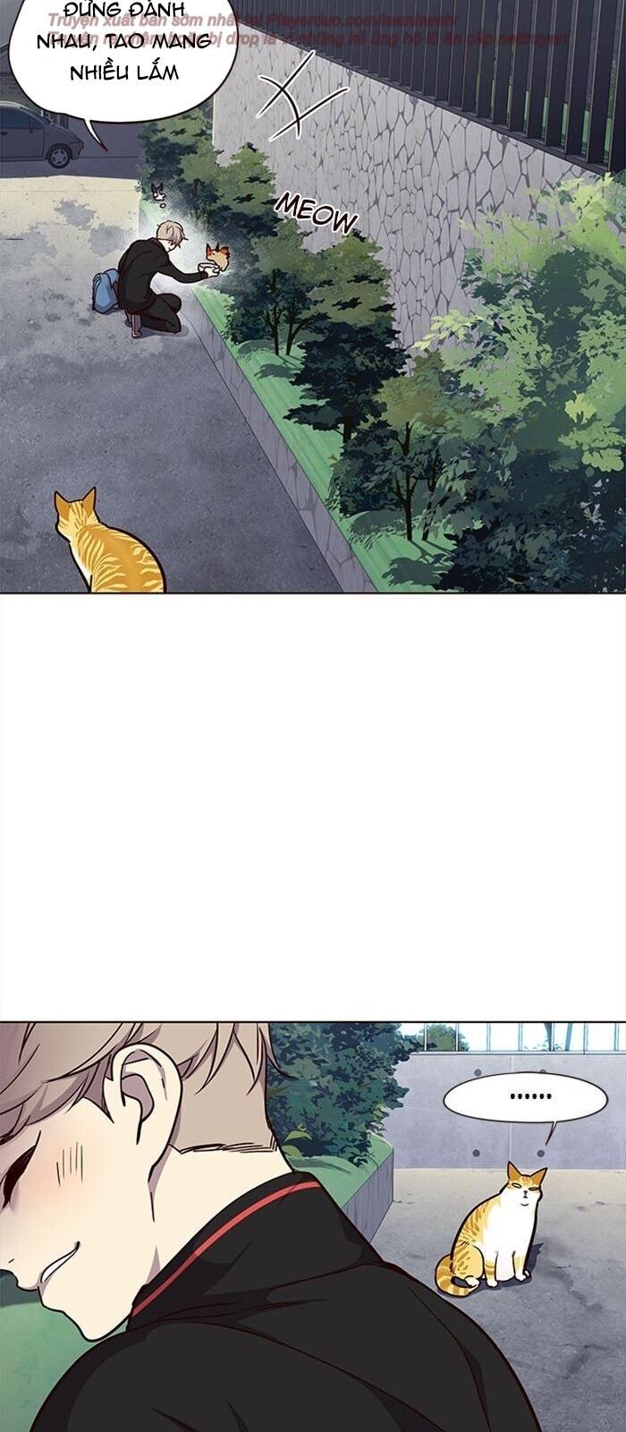 Hoá Thân Thành Mèo Chap 36 - Next Chap 37