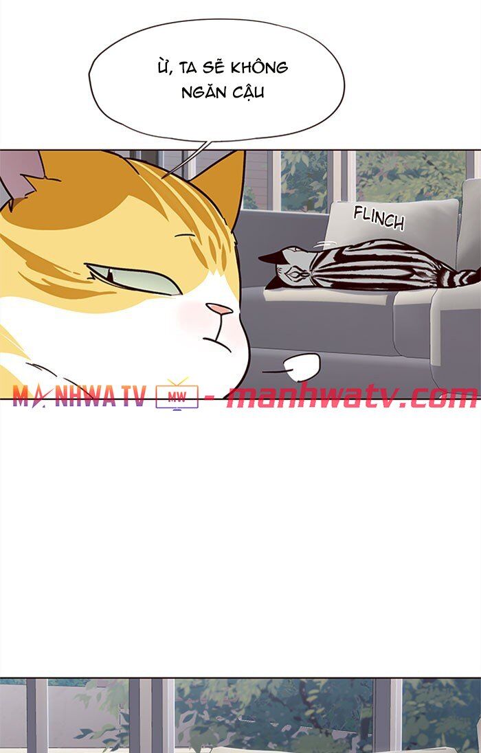 Hoá Thân Thành Mèo Chap 37 - Next Chap 38