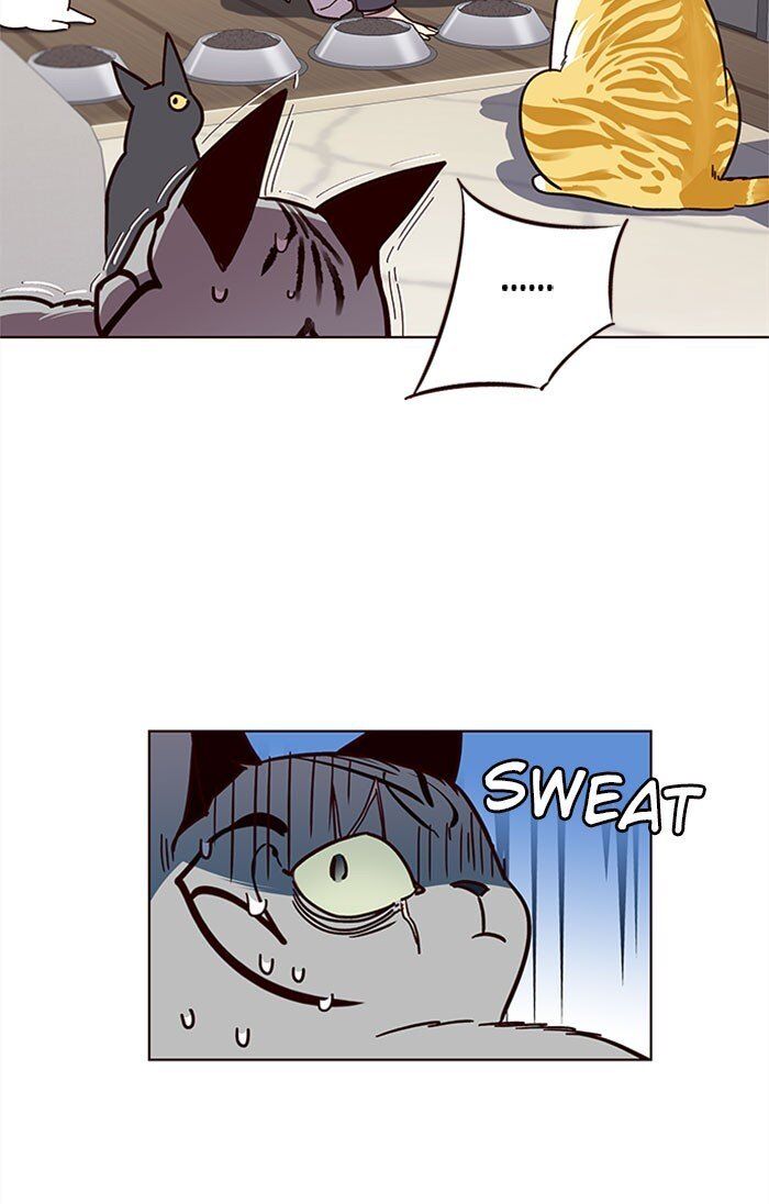 Hoá Thân Thành Mèo Chap 37 - Next Chap 38