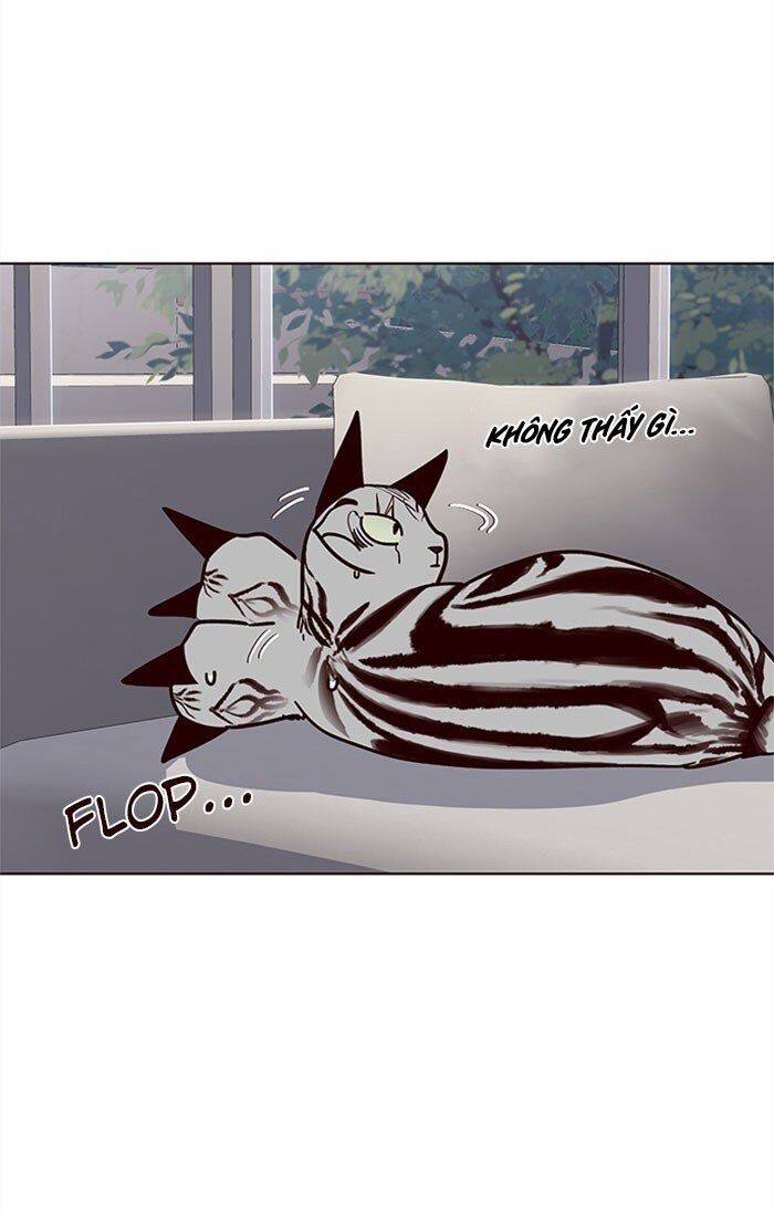 Hoá Thân Thành Mèo Chap 37 - Next Chap 38