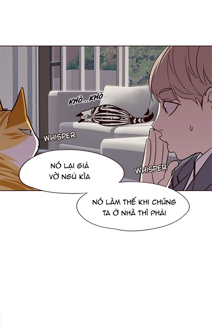 Hoá Thân Thành Mèo Chap 37 - Next Chap 38