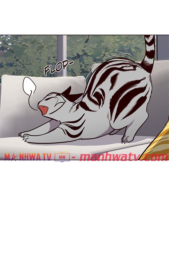 Hoá Thân Thành Mèo Chap 37 - Next Chap 38