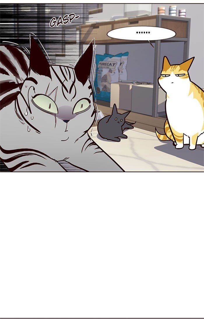 Hoá Thân Thành Mèo Chap 37 - Next Chap 38