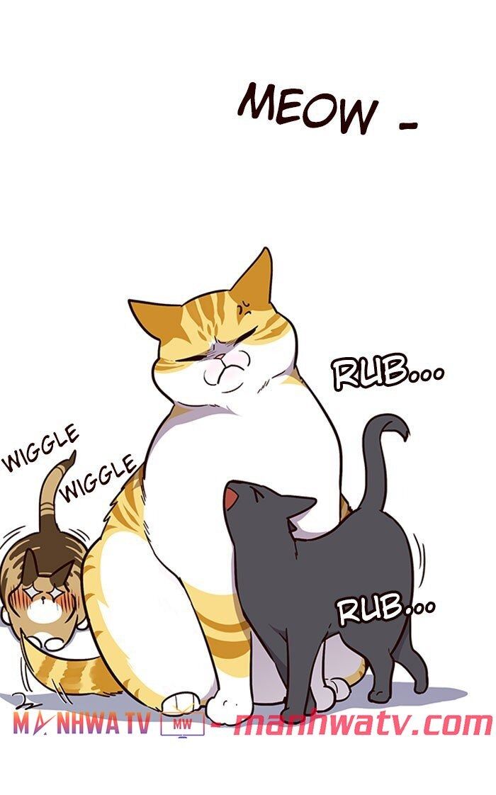 Hoá Thân Thành Mèo Chap 37 - Next Chap 38